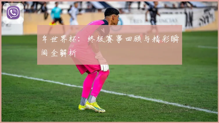 年世界杯：终极赛事回顾与精彩瞬间全解析